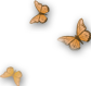 Butterfly Group